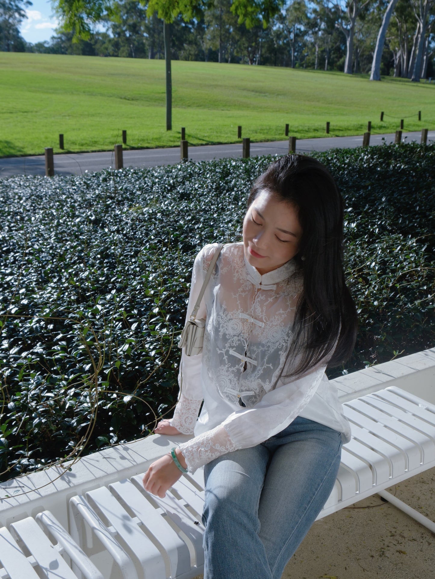 White Lace - Elegance Mandarin Collar Blouse (云裳玫影)